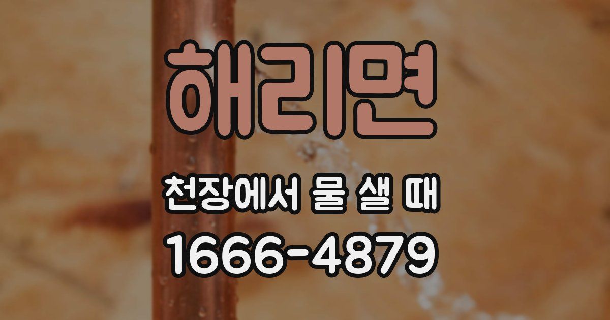 해리면 천장에서 물 샐 때