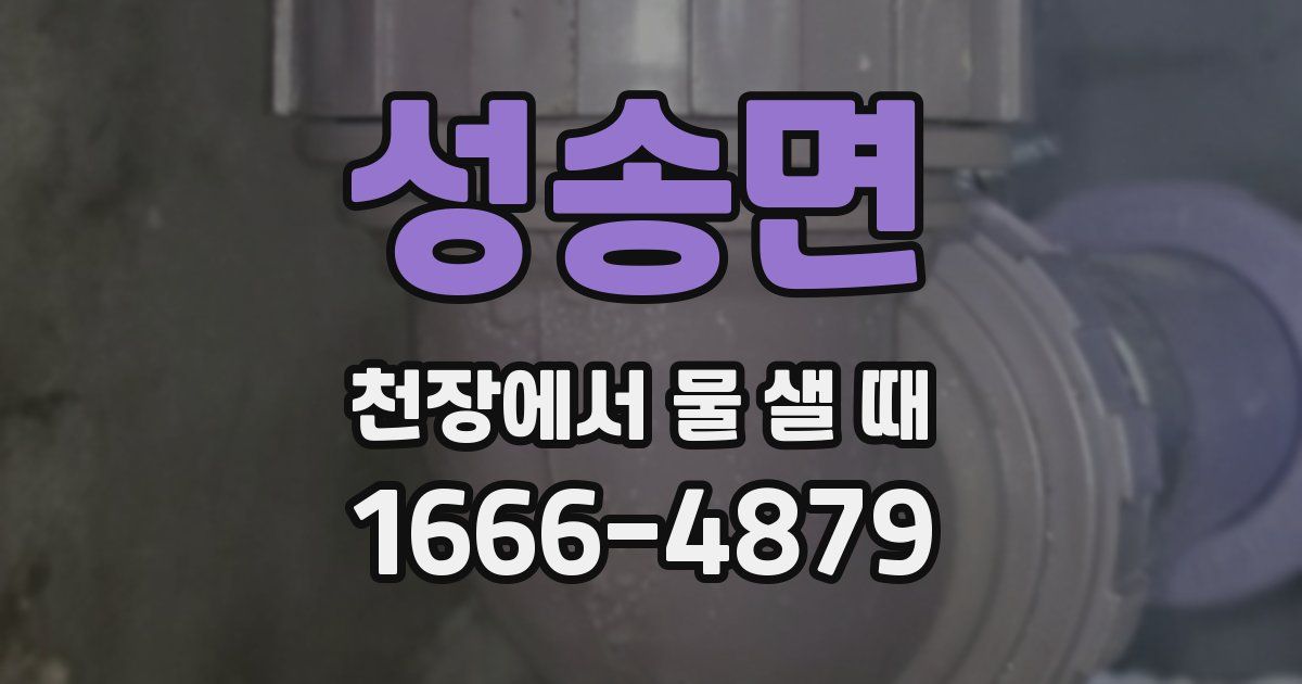 성송면 천장에서 물 샐 때