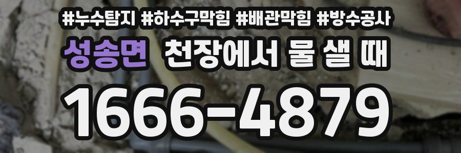 성송면 천장에서 물 샐 때