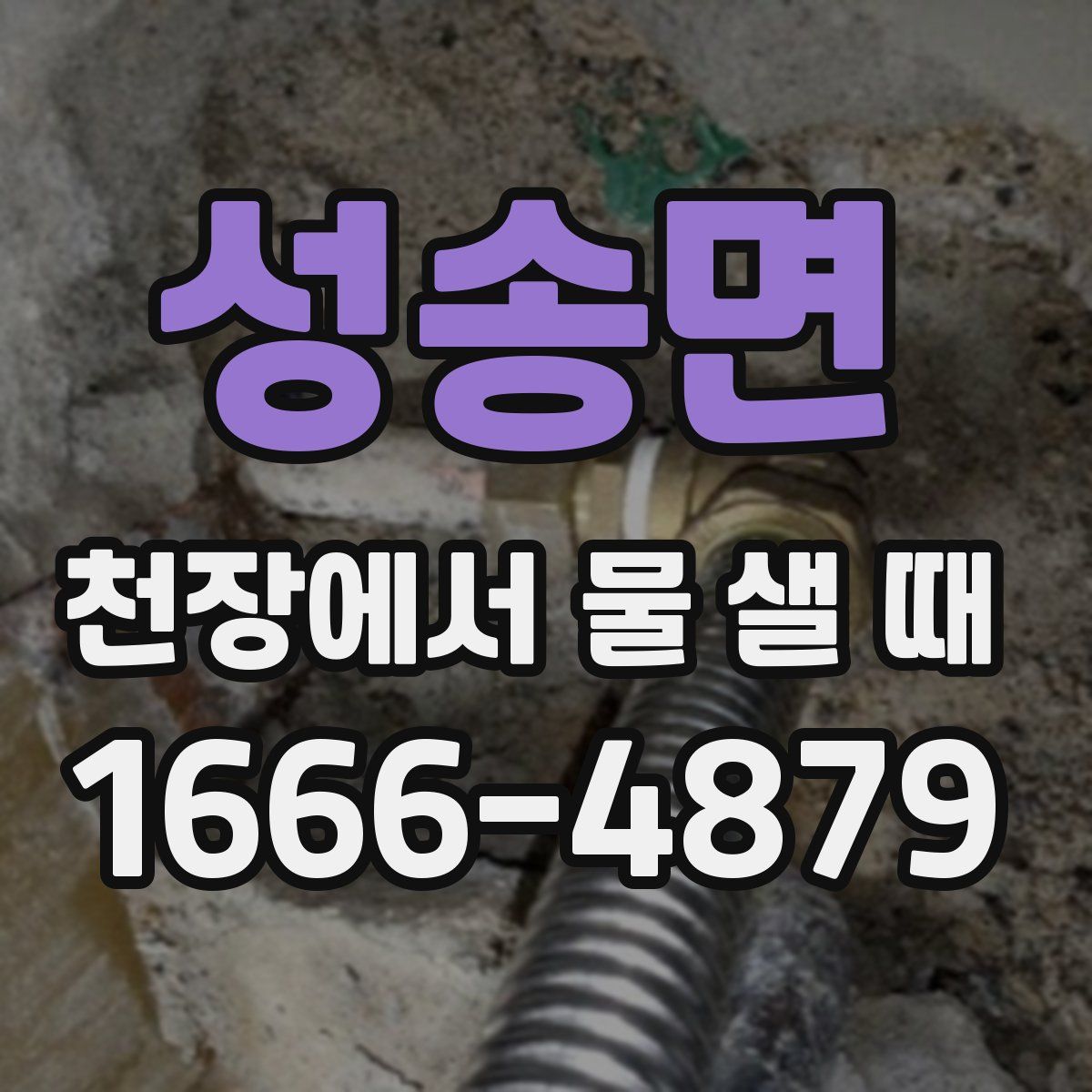 성송면 천장에서 물 샐 때