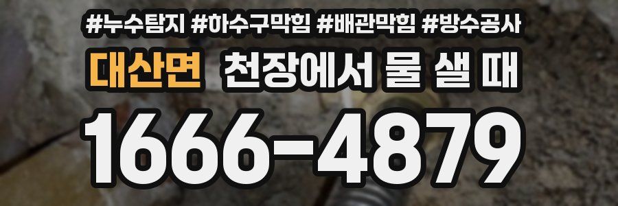 대산면 천장에서 물 샐 때
