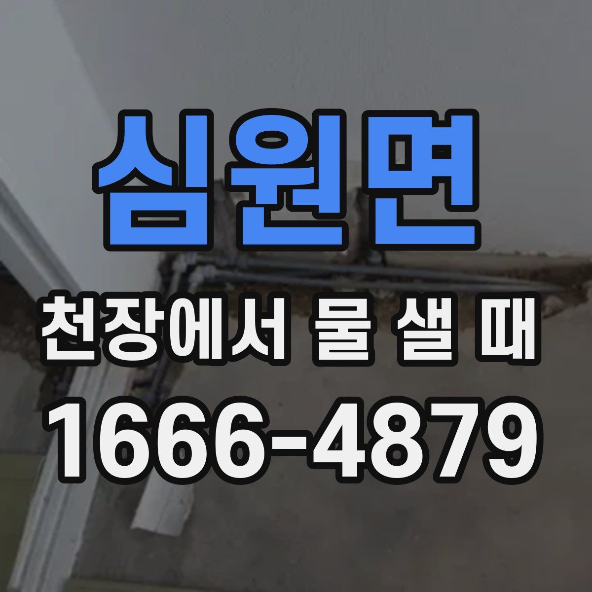 심원면 천장에서 물 샐 때