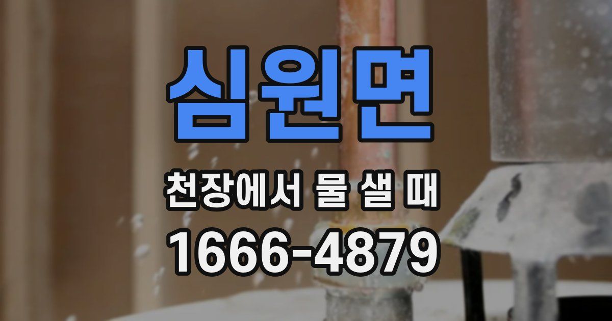 심원면 천장에서 물 샐 때
