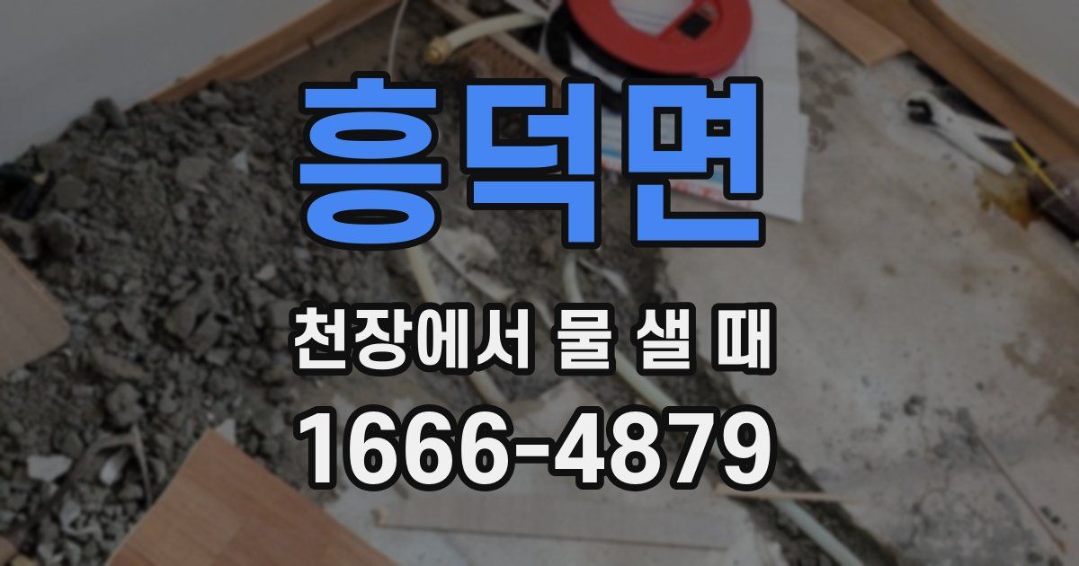 흥덕면 천장에서 물 샐 때