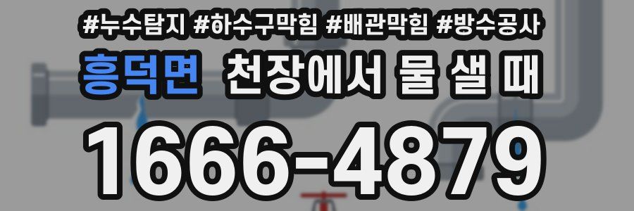 흥덕면 천장에서 물 샐 때