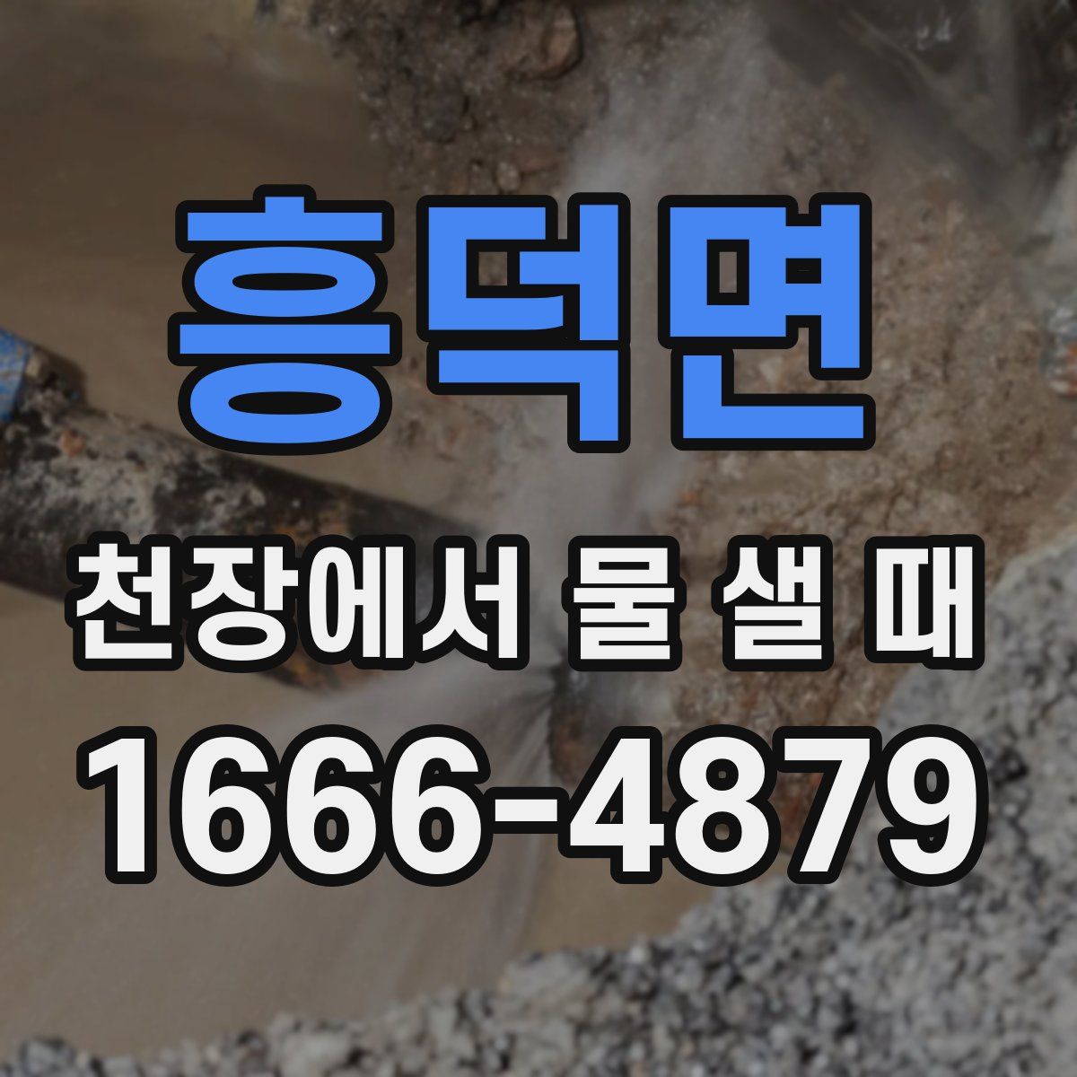 흥덕면 천장에서 물 샐 때