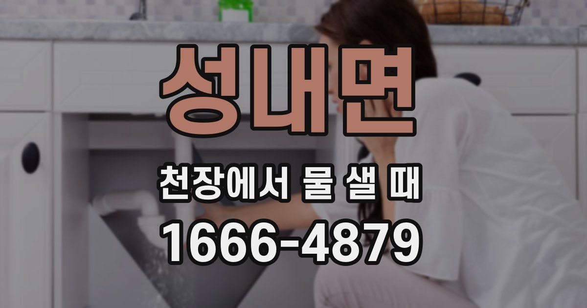 성내면 천장에서 물 샐 때