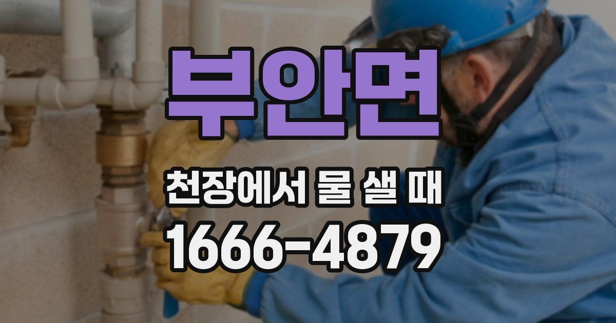 부안면 천장에서 물 샐 때