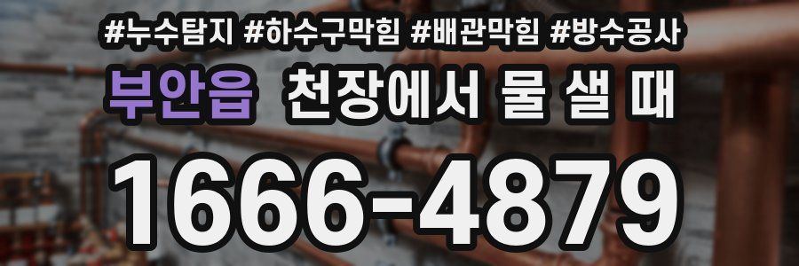 부안읍 천장에서 물 샐 때