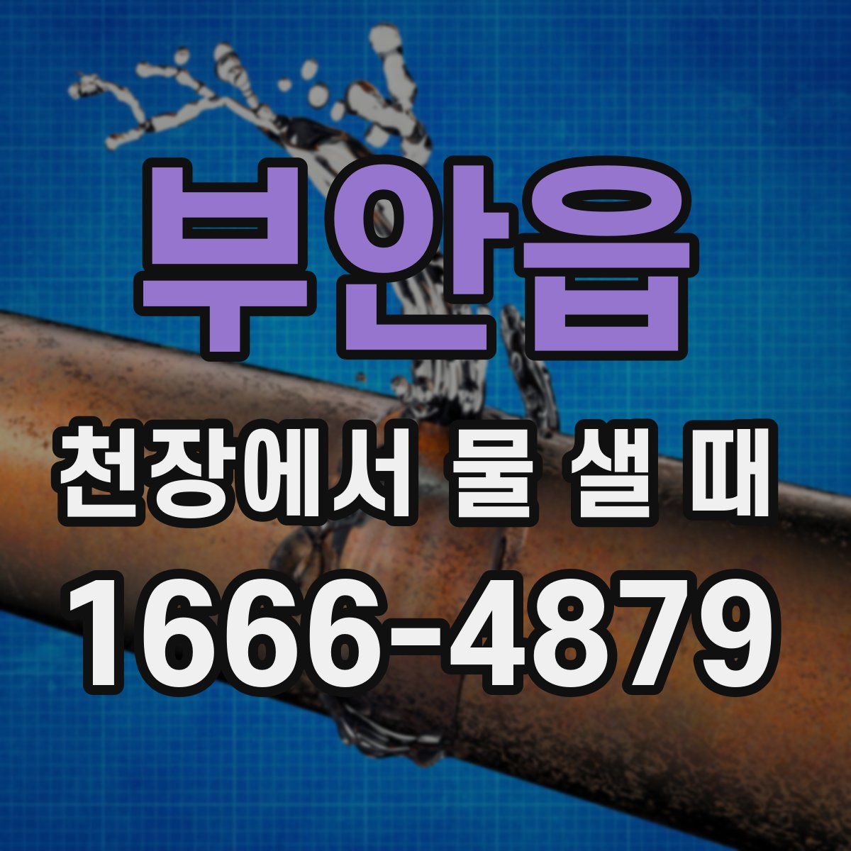 부안읍 천장에서 물 샐 때