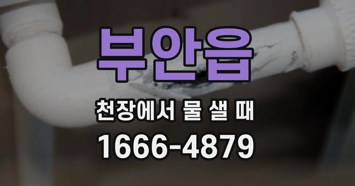 부안읍 천장에서 물 샐 때