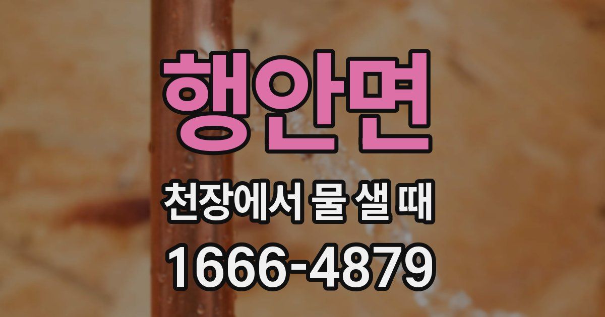행안면 천장에서 물 샐 때