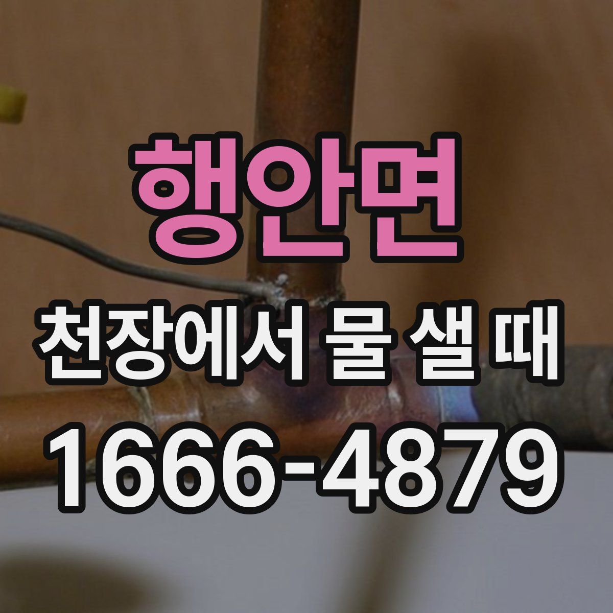 행안면 천장에서 물 샐 때