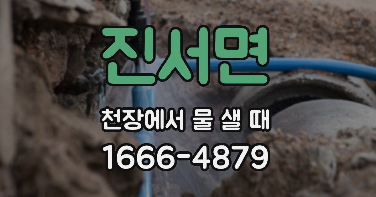 진서면 천장에서 물 샐 때