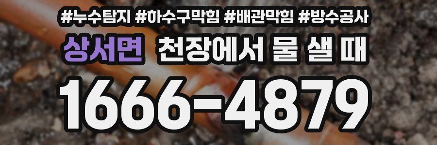 상서면 천장에서 물 샐 때