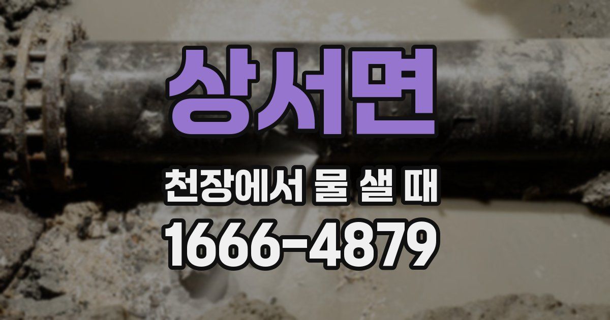 상서면 천장에서 물 샐 때