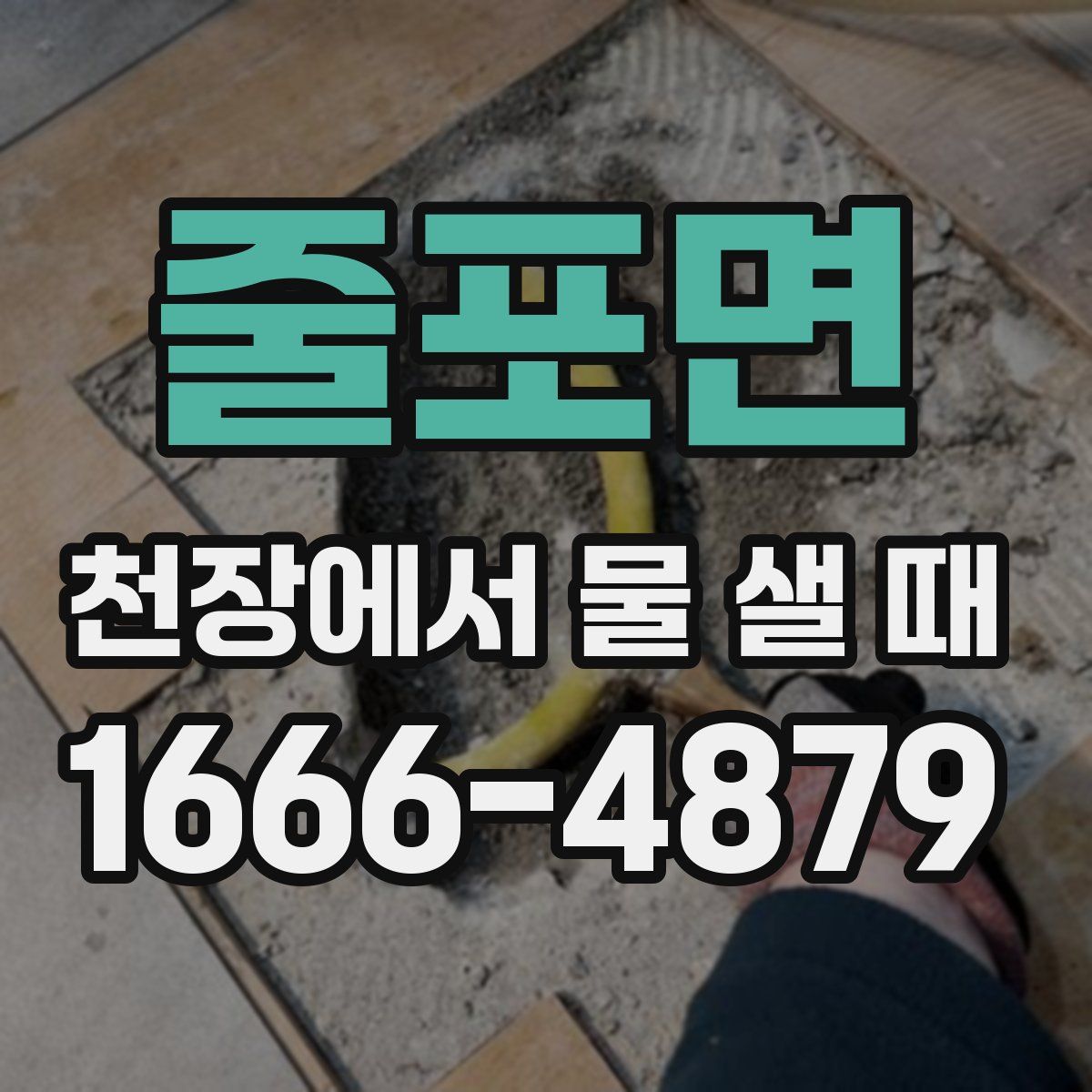 줄포면 천장에서 물 샐 때