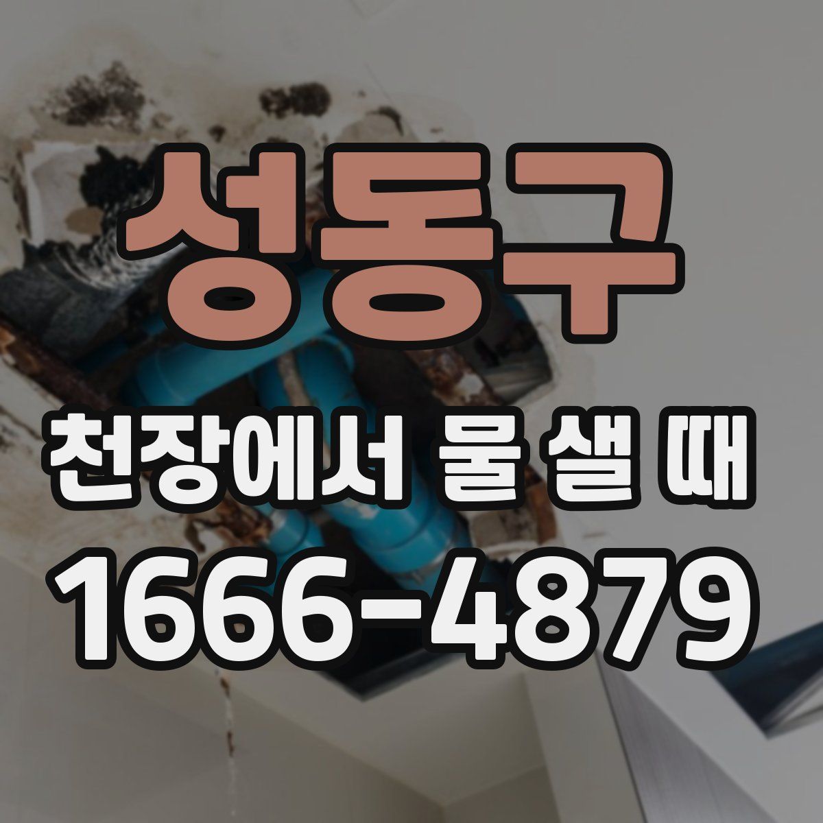 성동구 천장에서 물 샐 때