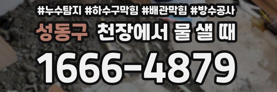성동구 천장에서 물 샐 때