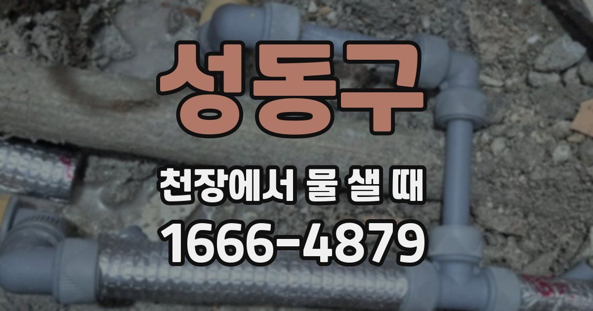 성동구 천장에서 물 샐 때