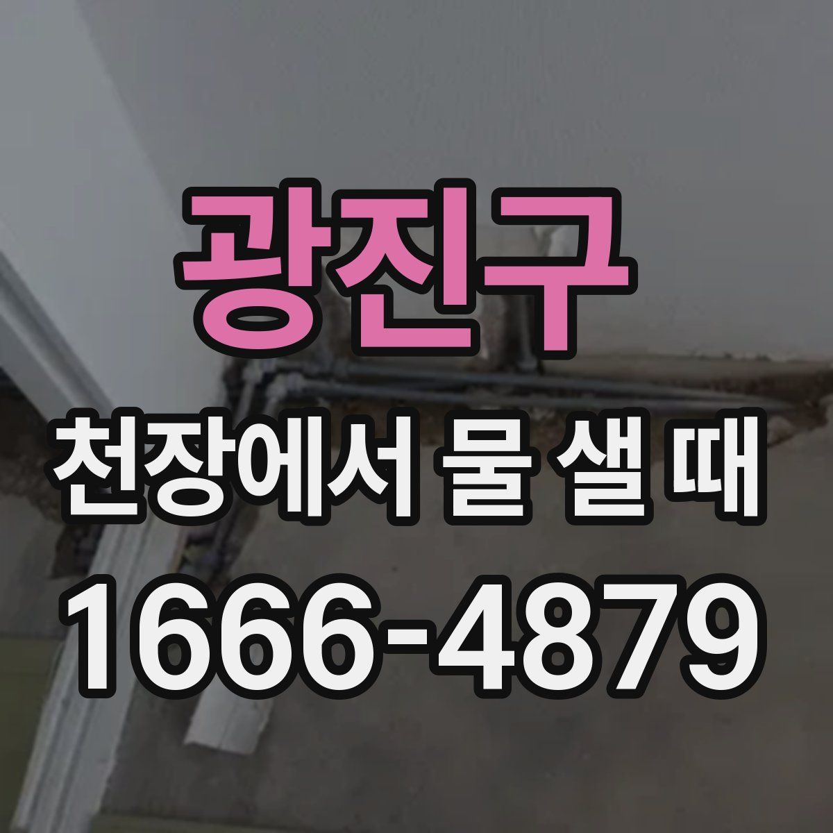 광진구 천장에서 물 샐 때