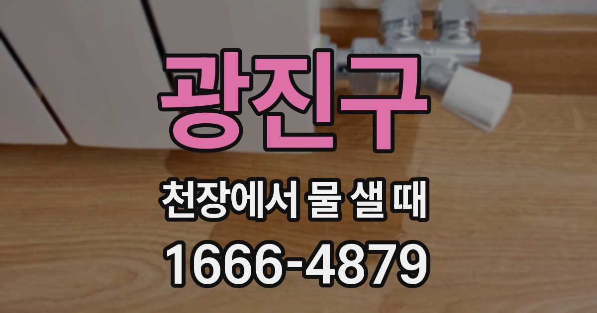 광진구 천장에서 물 샐 때