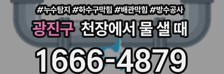 광진구 천장에서 물 샐 때