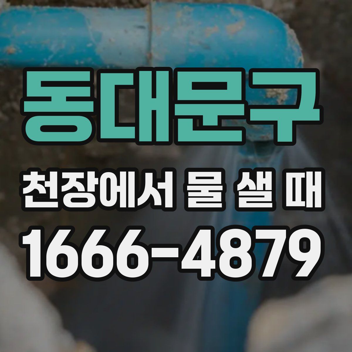 동대문구 천장에서 물 샐 때