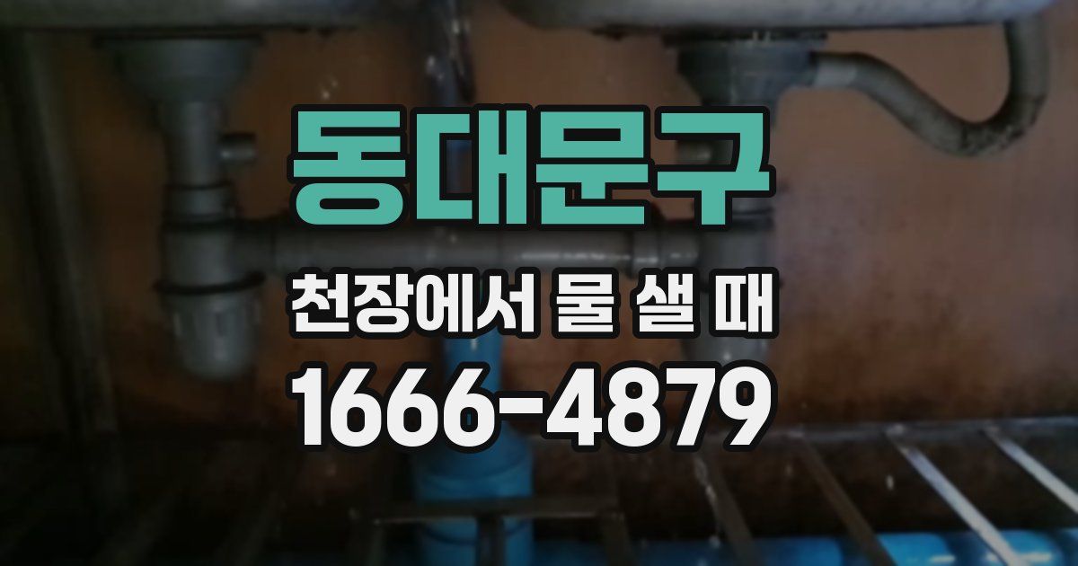 동대문구 천장에서 물 샐 때
