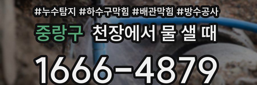 중랑구 천장에서 물 샐 때