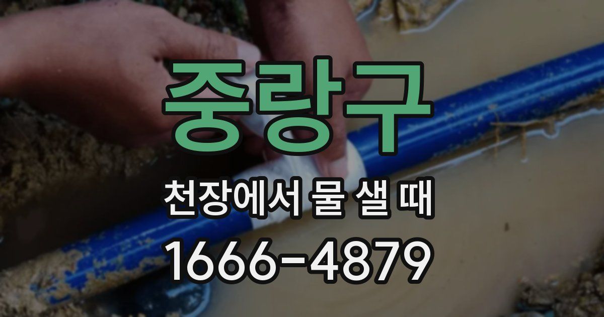 중랑구 천장에서 물 샐 때