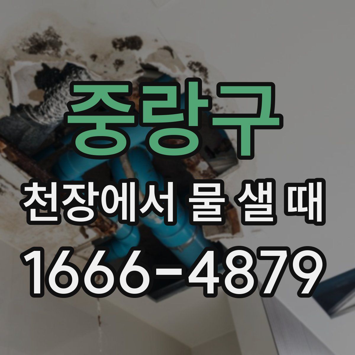 중랑구 천장에서 물 샐 때