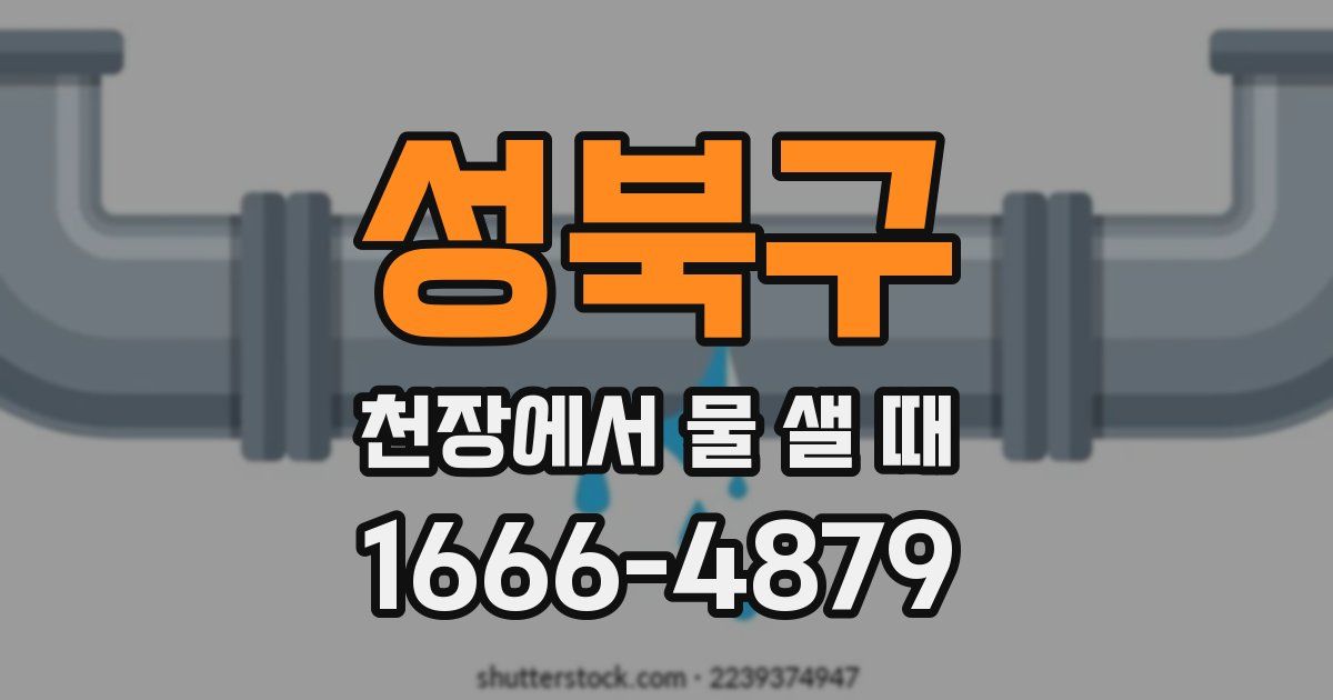 성북구 천장에서 물 샐 때