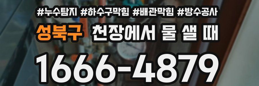 성북구 천장에서 물 샐 때