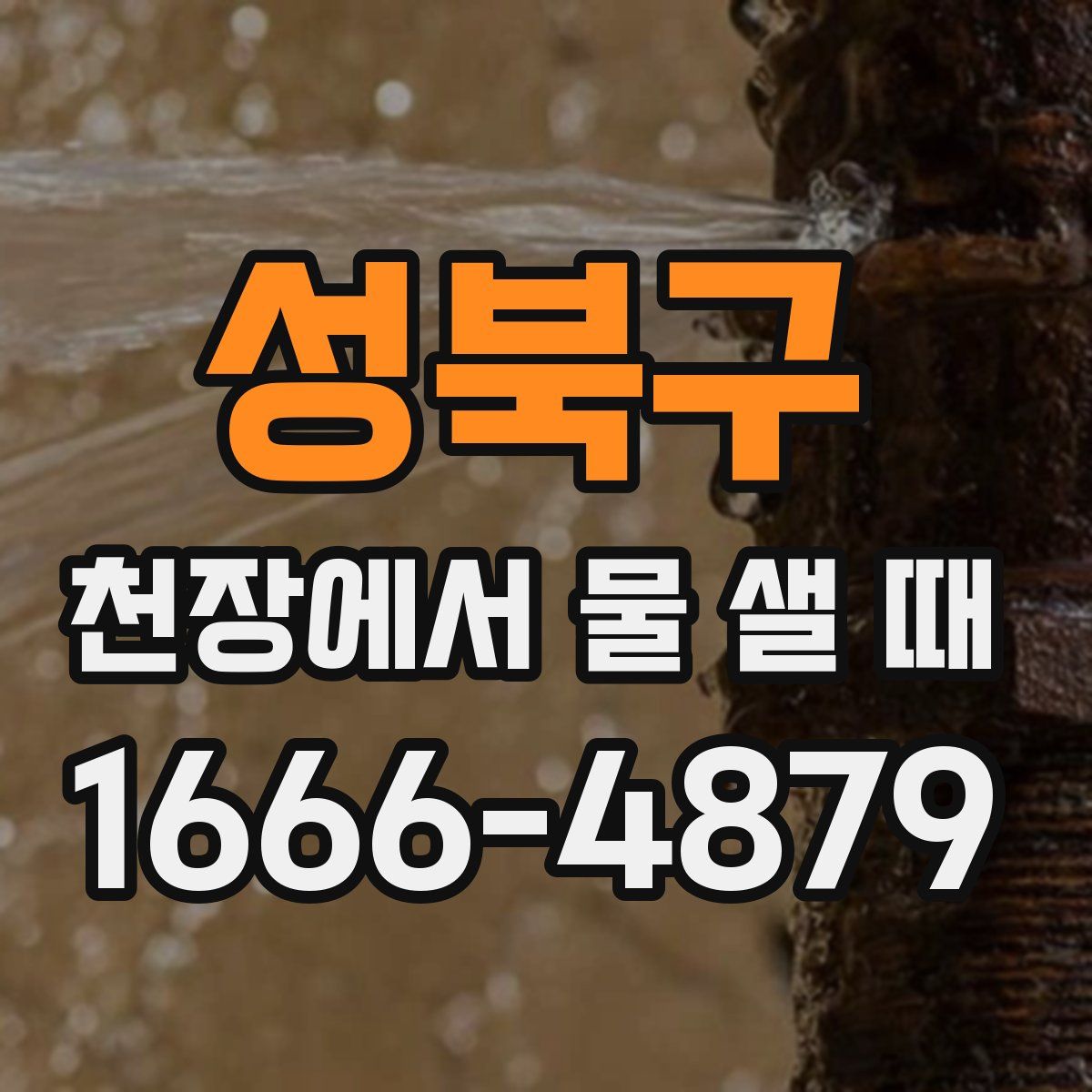 성북구 천장에서 물 샐 때
