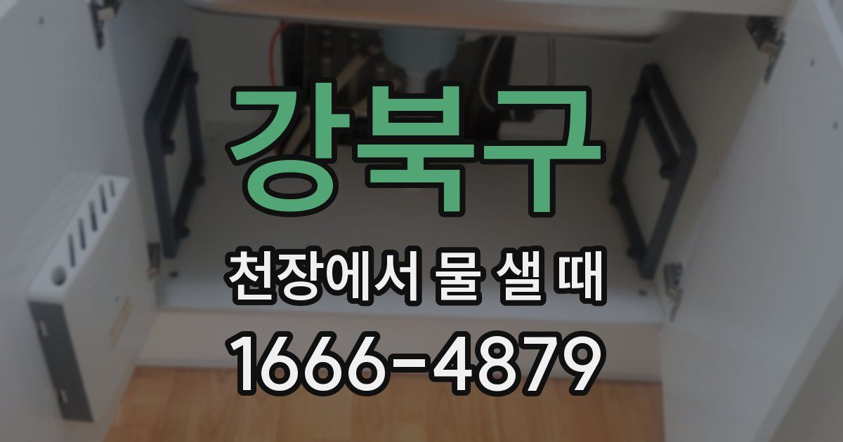 강북구 천장에서 물 샐 때