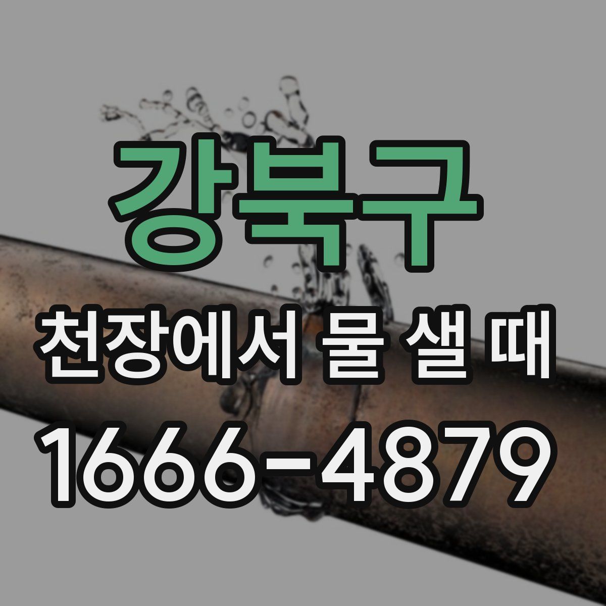 강북구 천장에서 물 샐 때