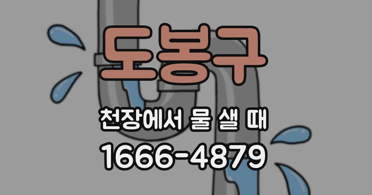 도봉구 천장에서 물 샐 때