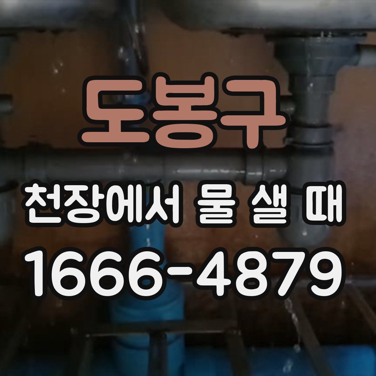 도봉구 천장에서 물 샐 때