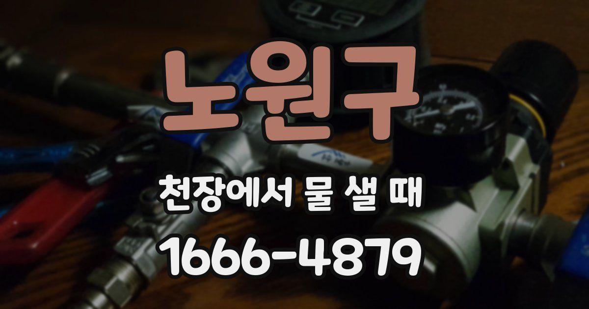 노원구 천장에서 물 샐 때