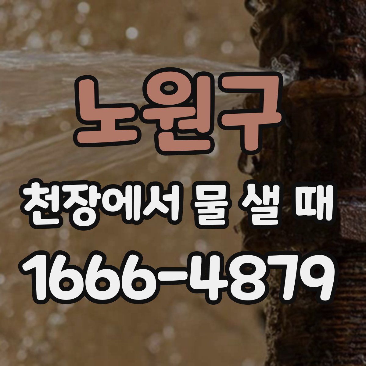 노원구 천장에서 물 샐 때