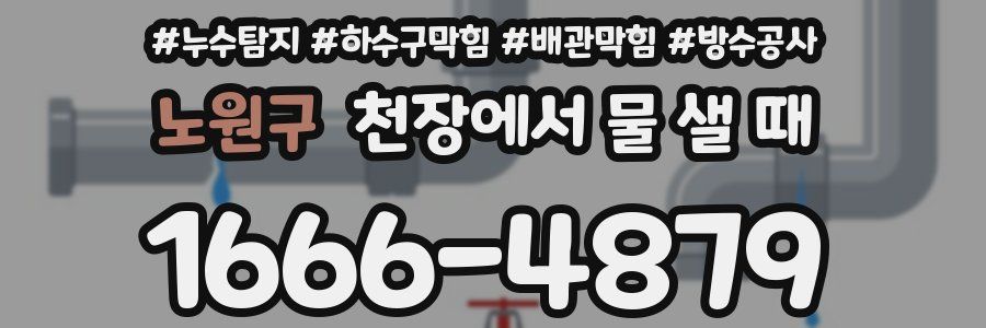 노원구 천장에서 물 샐 때