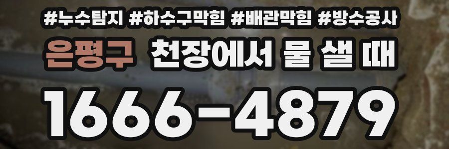은평구 천장에서 물 샐 때