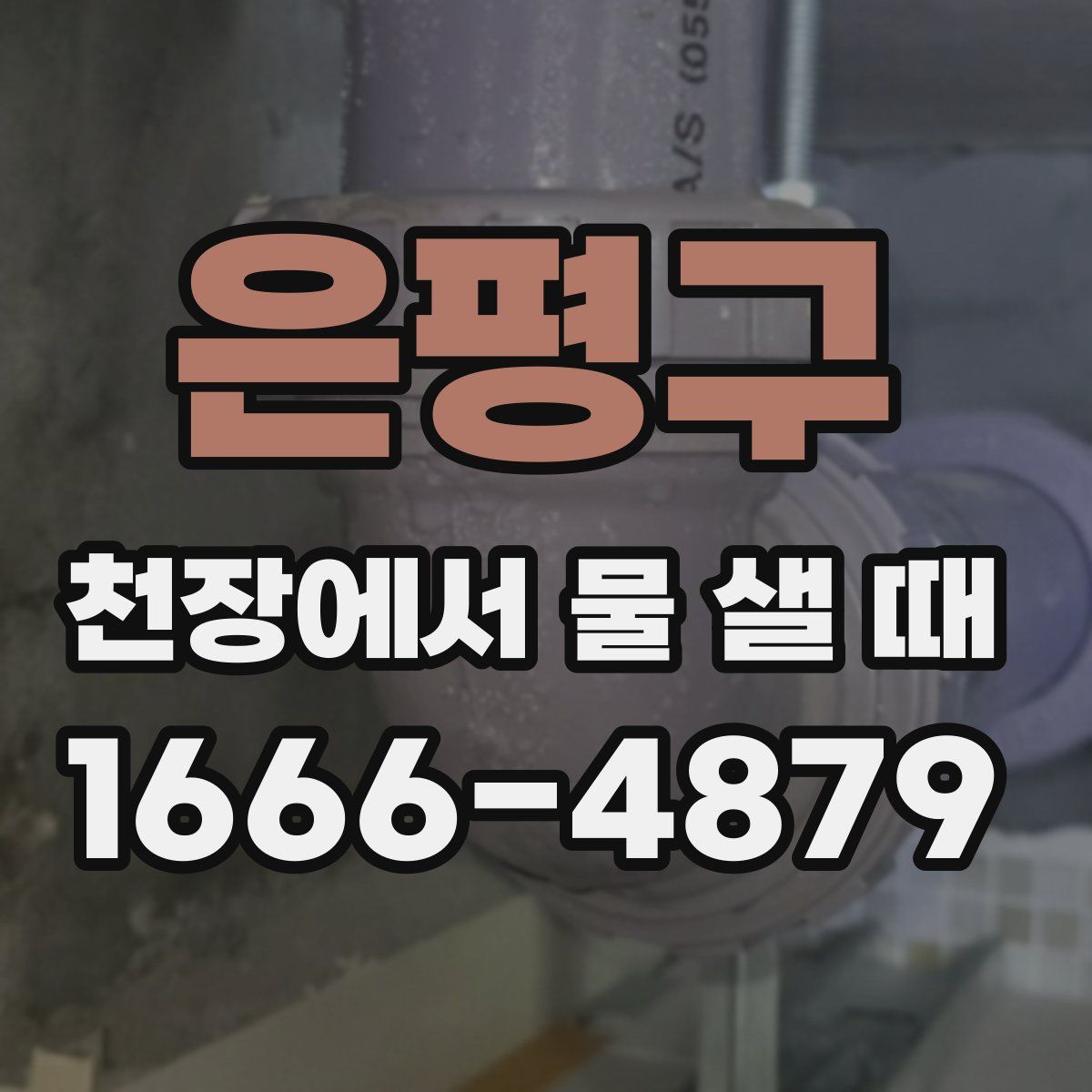 은평구 천장에서 물 샐 때