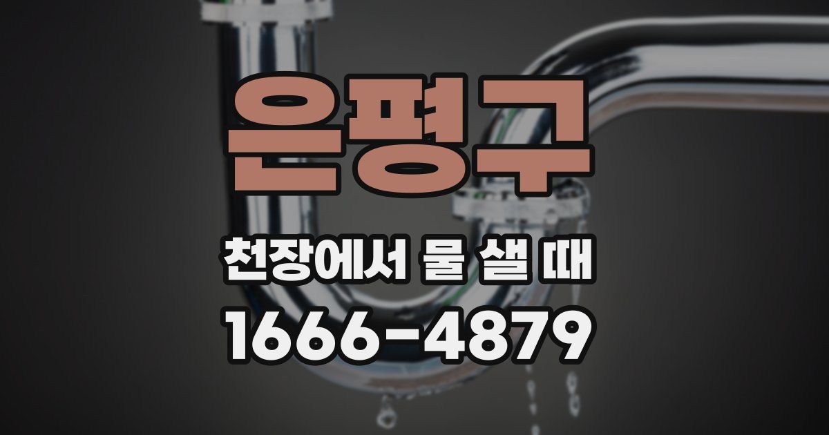 은평구 천장에서 물 샐 때