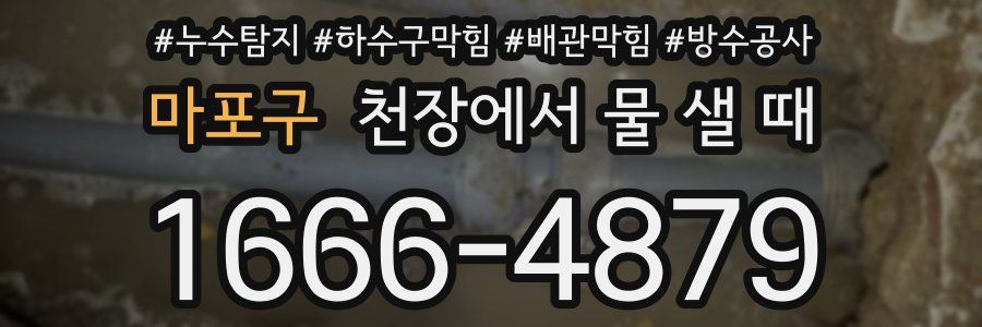 마포구 천장에서 물 샐 때