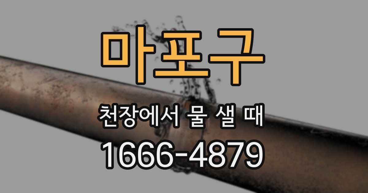 마포구 천장에서 물 샐 때