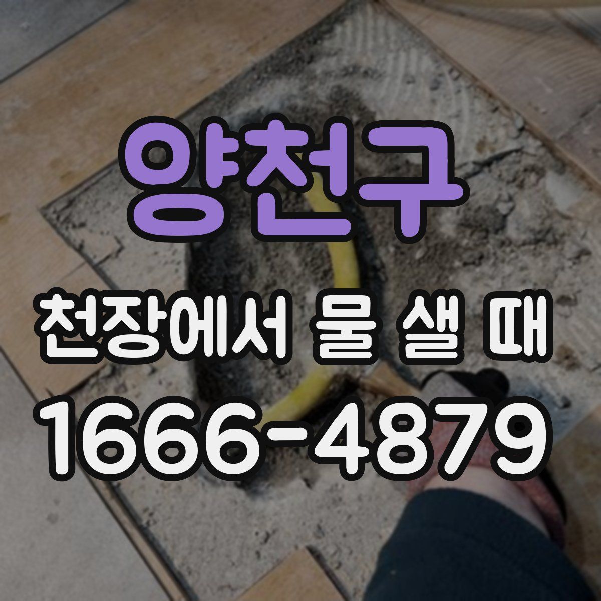 양천구 천장에서 물 샐 때