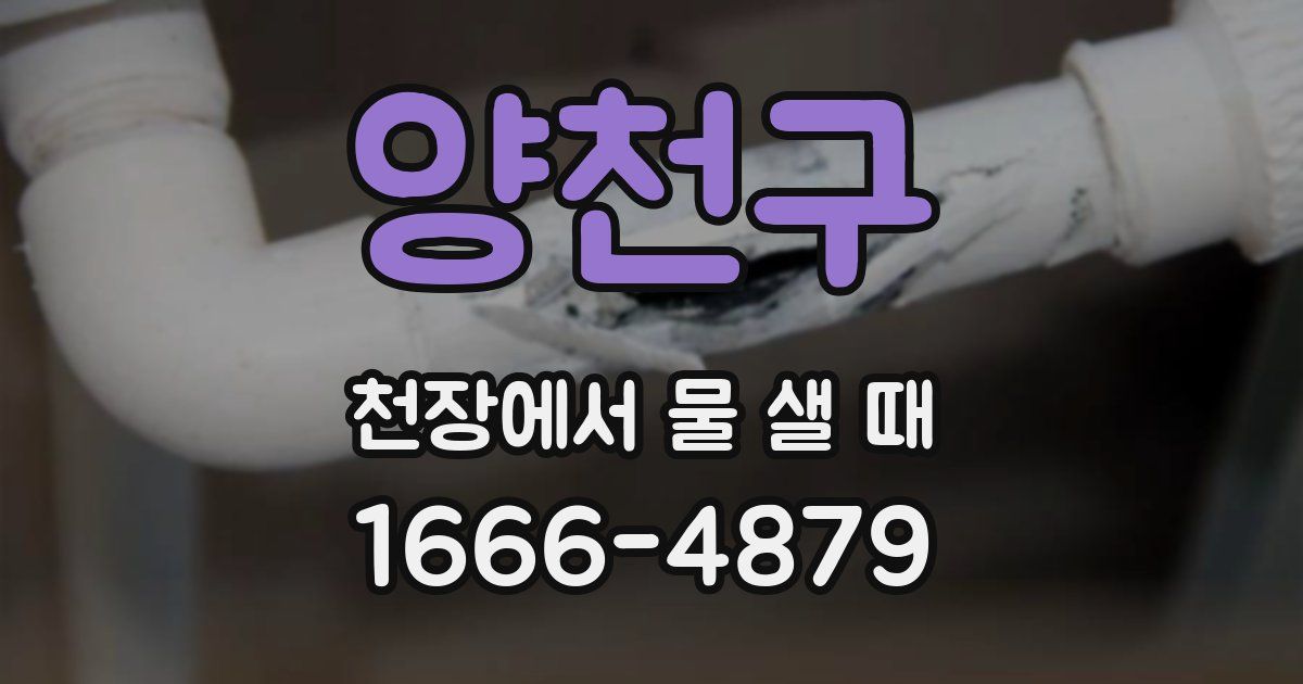 양천구 천장에서 물 샐 때