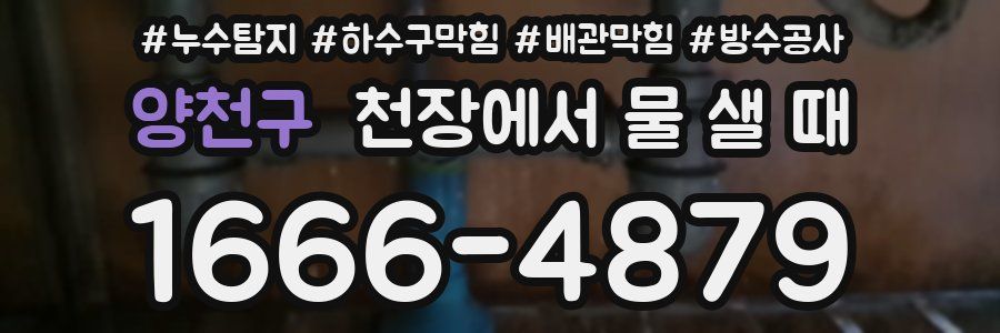양천구 천장에서 물 샐 때